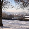 Waldweihnacht - 4. Advent